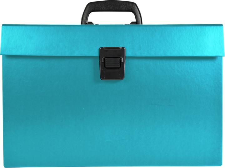 Produktbild Exacompta Fächermappen (A4, 32x)