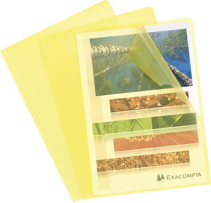 Image du produit Exacompta Housses et pochettes (A4, 10x)