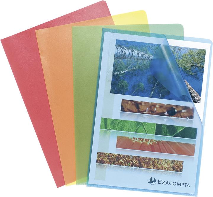 Actual product image Exacompta Sleeves and bags (A4, 10x)