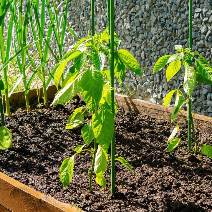 Immagine prodotto Wiltec Toboli 10x paletti per piante verdi 150cm Ø11mm metallo plastica pomodoro (150 cm, 1.10 cm)
