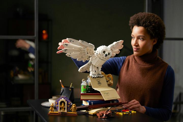 Image du produit LEGO Icônes de Poudlard - Édition Collector (76391, LEGO Harry Potter, LEGO difficiles à trouver)
