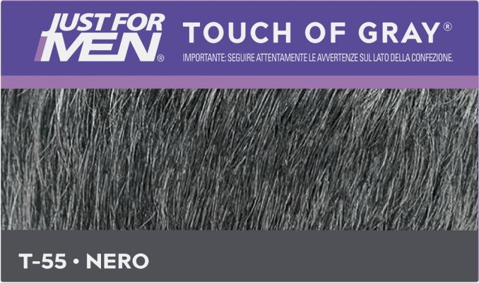 Image du produit Just For Men Touch of Gray (T-55)