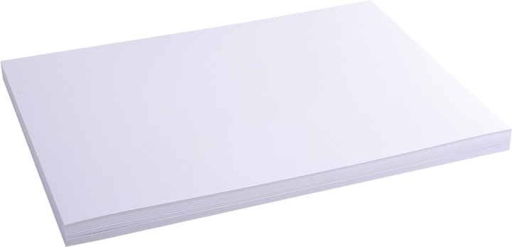Actual product image Exacompta Index cards (A3, 205 g/m², 100 x)