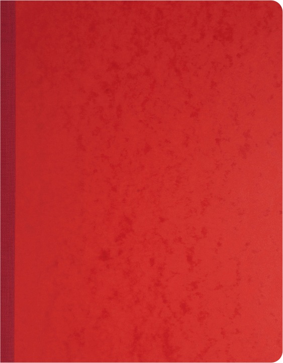 Immagine prodotto Exacompta Libri contabili (32 x 25 cm, Righe)