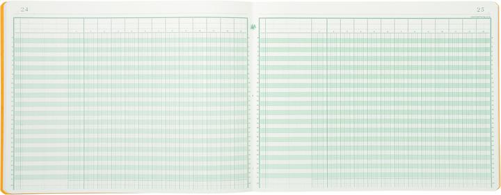 Immagine prodotto Exacompta Libri contabili (A4, Righe)