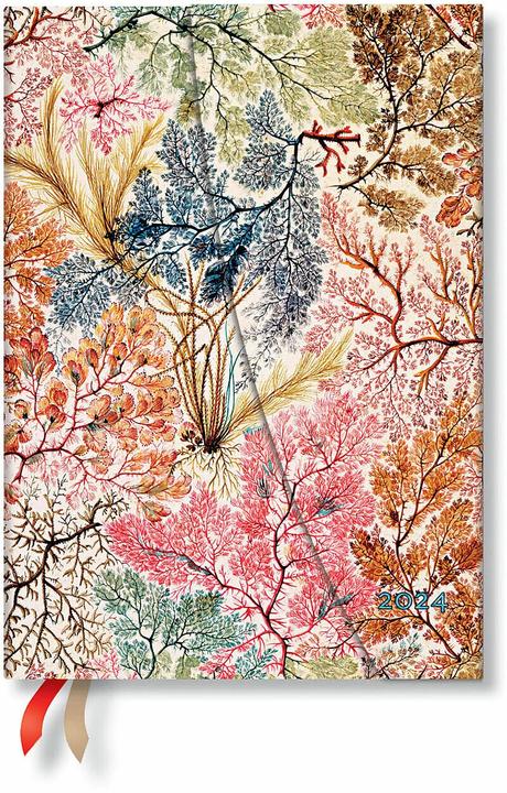 Produktbild Paperblanks PAPERBLAN Agenda Anemone 2024 DH0904-7 Midi, de, VSO, 12M
