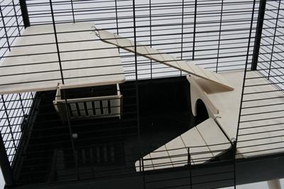 Actual product image Zolux Neo Muki