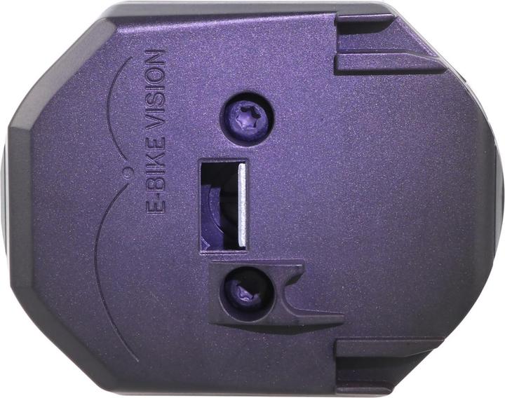 Actual product image E-Bike-Vision Battery Bosch Active (Plus) / Performance (CX) Intube vertical (461 Wh, E-Bike battery)