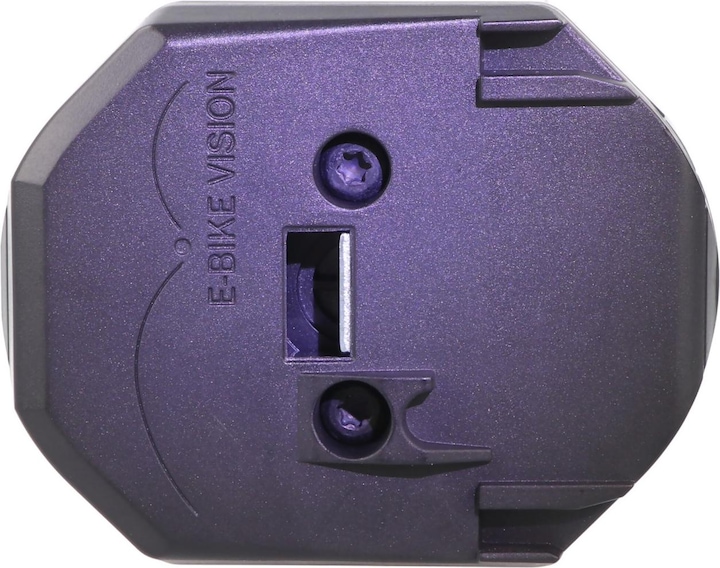 Actual product image E-Bike-Vision Battery Bosch Active (Plus) / Performance (CX) Intube vertical (461 Wh, E-Bike battery)
