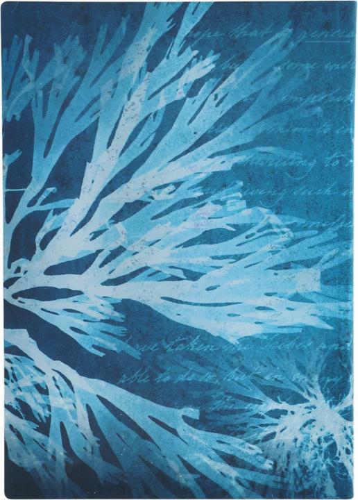 Produktbild Paperblanks Notizbuch Softcover Meeresblumen Midi Unliniert (A5, Blanko, Weicher Einband)