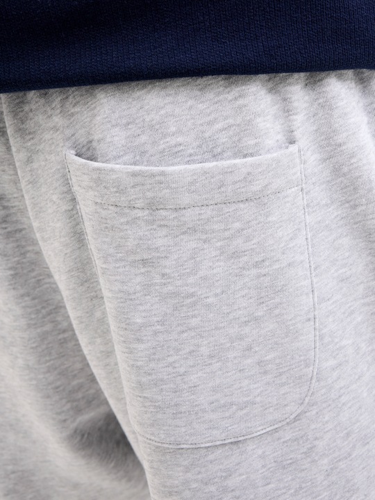 Image du produit Jack & Jones Jpstgordon Bradley Sweat Shorts Lng Sn (XS)