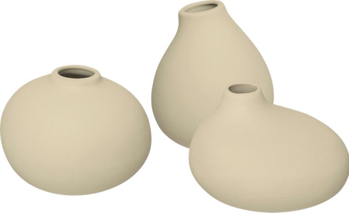 Actual product image Blomus Flowerpot (3x)