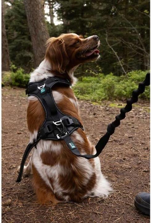 Produktbild Symbioz Hundegeschirr XXS (XXS, Hund, Spazieren)