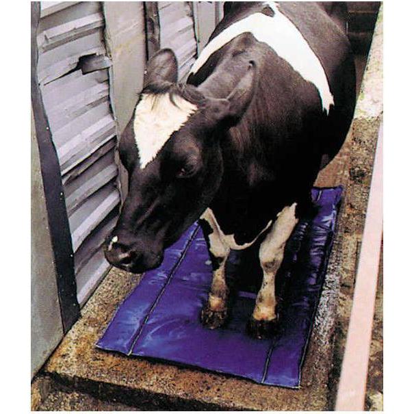 Meilleurs prix pour Shoof Tapis de dsinfection et de soin des onglons (Chien), Produits de soins pour animaux