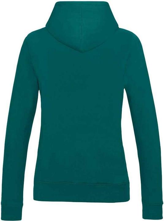 Produktbild Awdis College Kapuzenpullover (S)