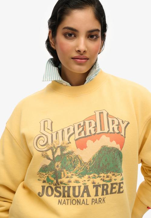 Actual product image Superdry Souvenir Graphic Loose Crew (M)