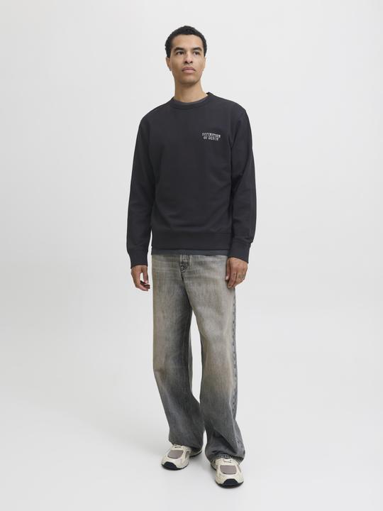Produktbild Jack & Jones Jjedetroit Sweat Crew Neck Styd Aw25 (S)
