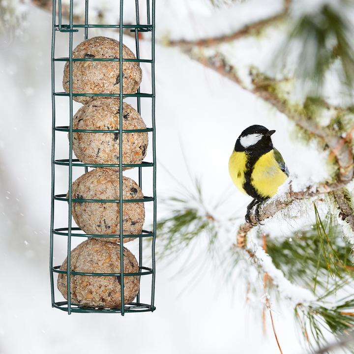 Produktbild Relaxdays 2x Meisenknödelhalter