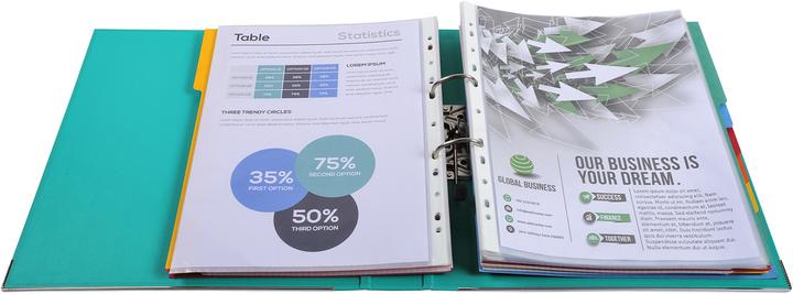 Actual product image Exacompta Folder (A4, 50 mm, 1 Piece)