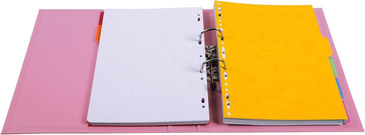 Image du produit Exacompta Dossier (A4, 50 mm, 1 pcs)