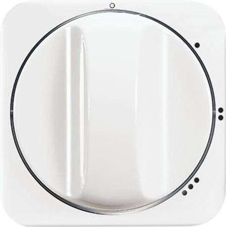 Produktbild Busch-Jaeger Zentralscheibe