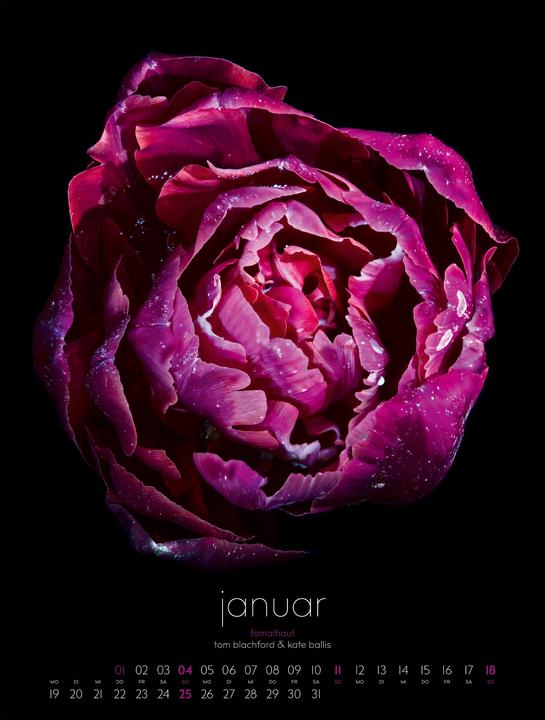 Produktbild in bloom Kalender 2026 (50 x 66 cm)