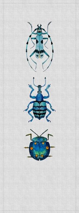 Grau, Blau, Bunt
