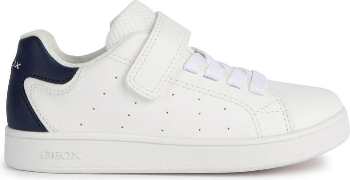 White with dark blue details