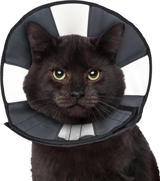ZenPet Procone L (Katze, Hund)