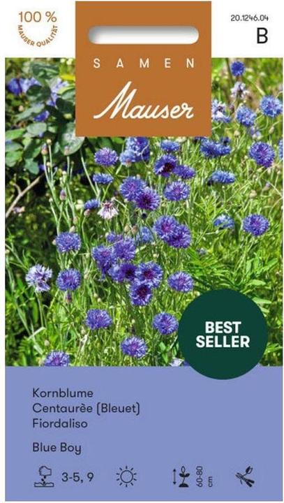 Actual product image Samen Mauser pageboy (Plant seeds)