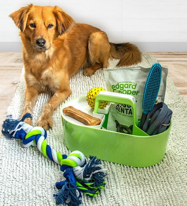 Actual product image Han LOFT table organiser 4 compartments and removable storage tray