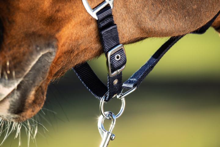 Produktbild HFI Master First