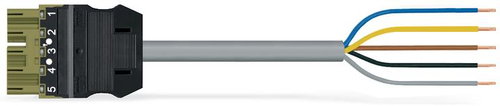 Actual product image Wago confect. Connection cable (4 m)