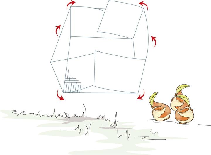 Produktbild Bellissa Blumenzweibel Gamaschen 15 (5er Set)