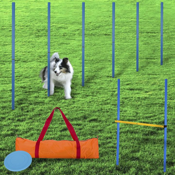 Agility Slalom, set van 12 - Sport en Spel voor dieren