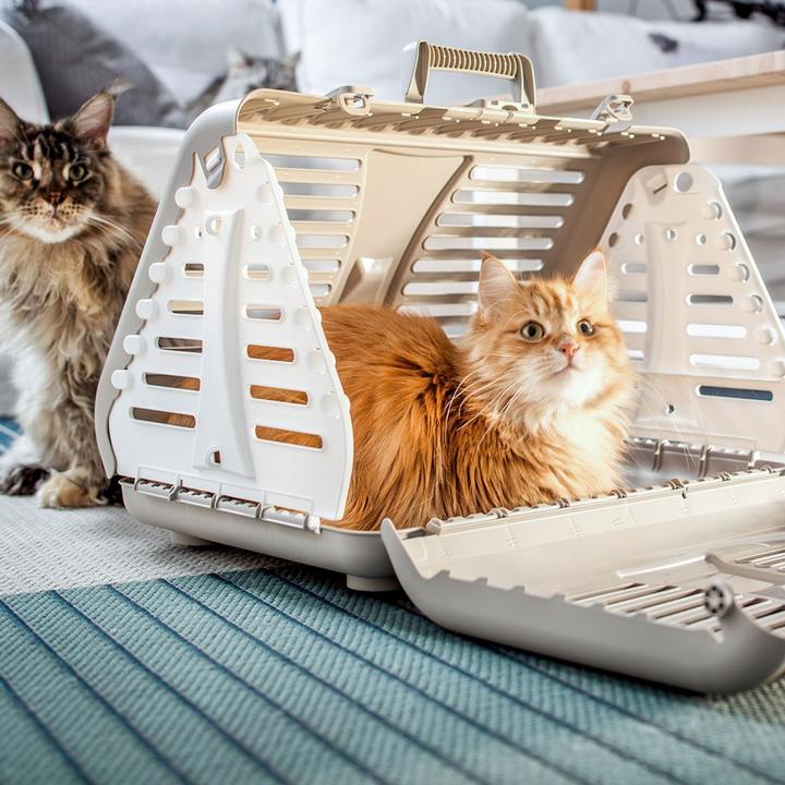 Produktbild Rotho Toby (Katze, Hund, Faltbar, Atmungsaktiv)