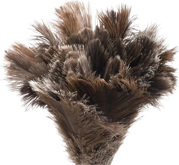 Actual product image Bürstenhaus Redecker Ostrich feather duster