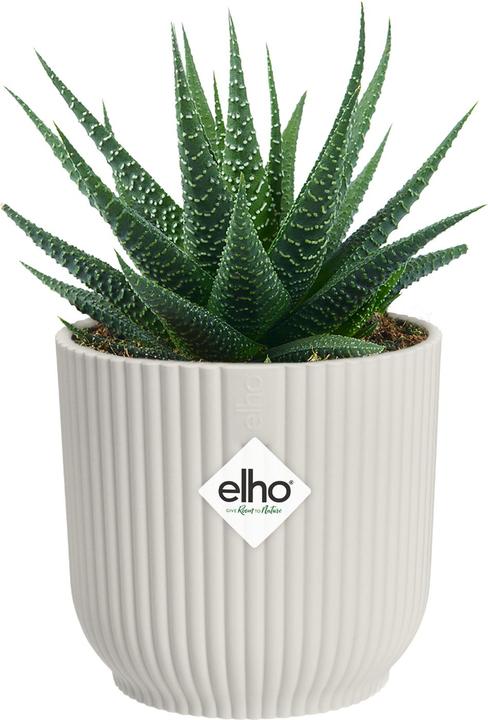 Actual product image Elho Vibes Fold Rund Mini (9.30 cm)