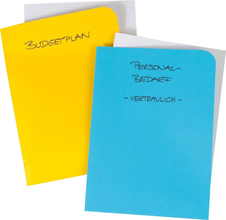 Produktbild Elco Sichthülle Ordo discreta (A4, 100x)