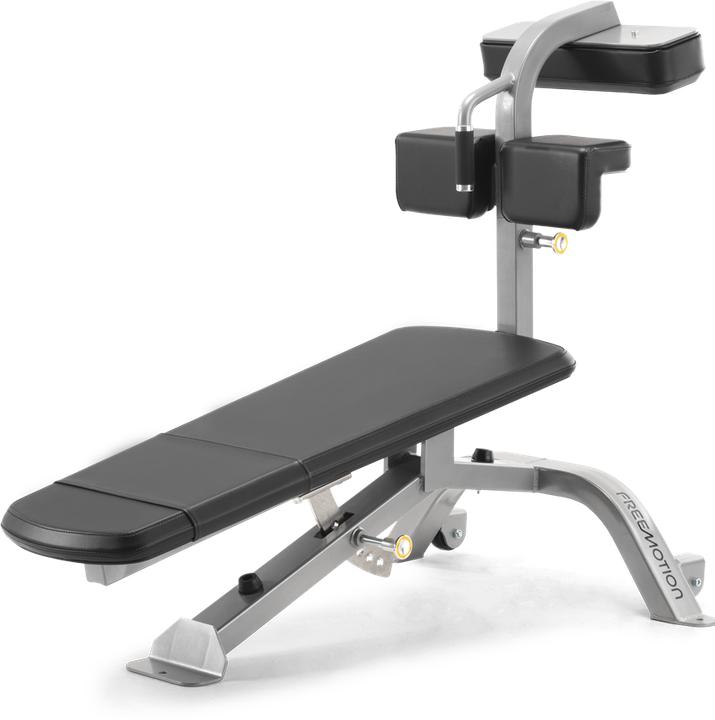 Image du produit Freemotion Epic Abdominal Bench