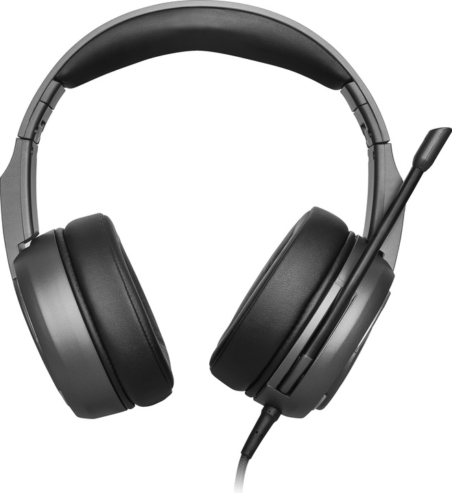 Actual product image MSI GAMING Headset Immerse GH40 ENC S37-0400150-SV1 retail (Cable)