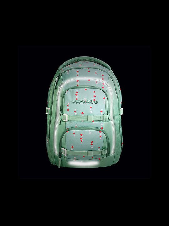 Actual product image Coocazoo PORTER Backpack, Dancing Dots (35 l)