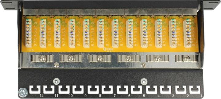 Image du produit Delock Panneau de brassage RJ-45 X 12