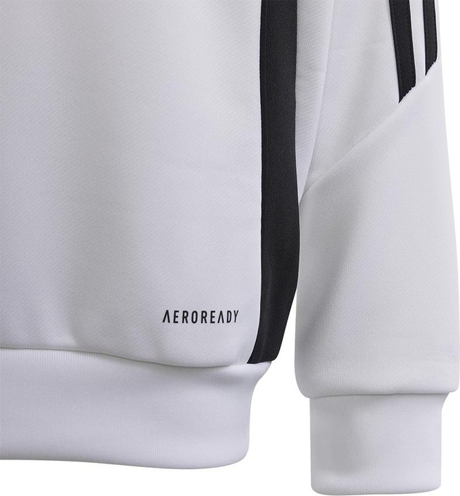 Actual product image adidas TIRO24 TRHOOD Y (128)
