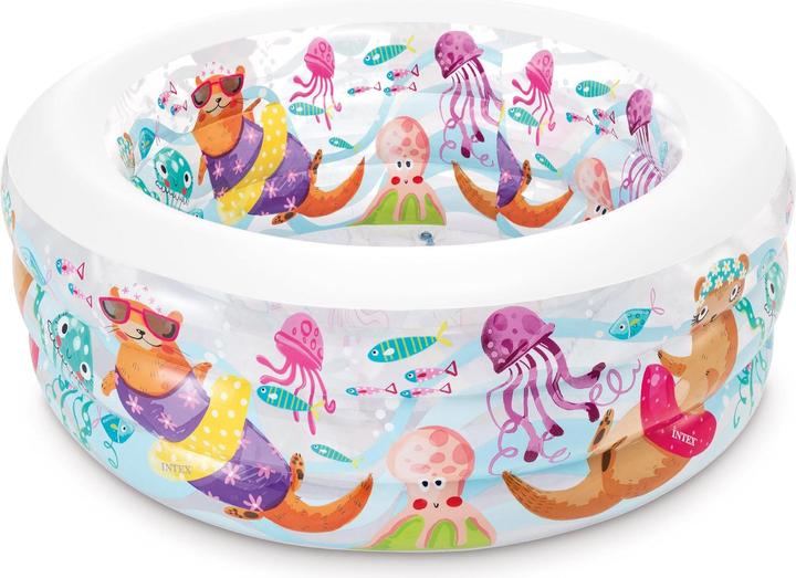 Image du produit Intex Aquarium