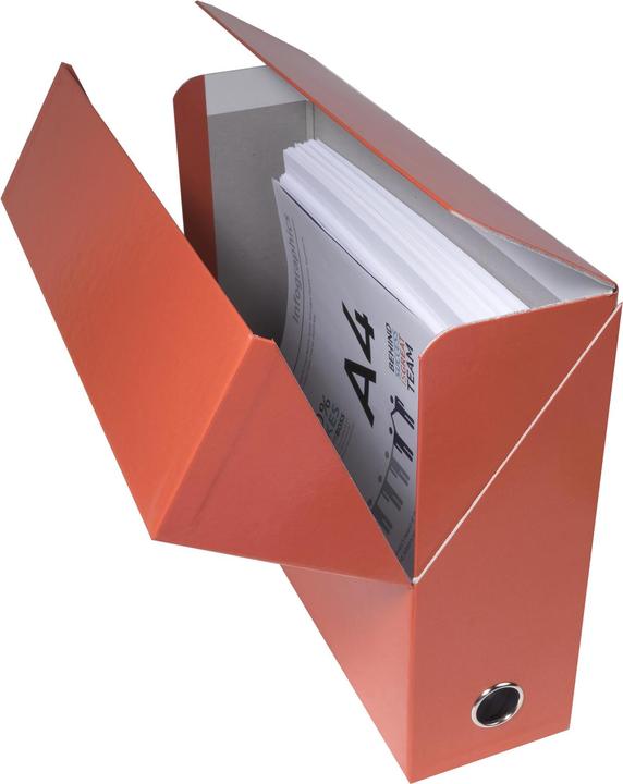 Immagine prodotto Exacompta Cassetta di trasferimento Iderama (A4)