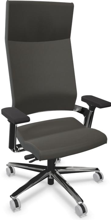 Leder Premium Graphitgrau
