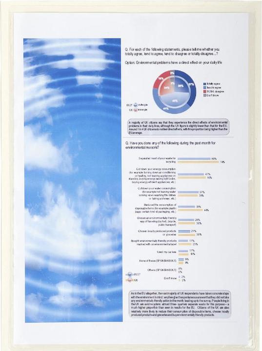 Image du produit Exacompta Sachet de 10 pochettes adhésives PVC lisse 14/100e - A4 - Cristal (A4, 10x)