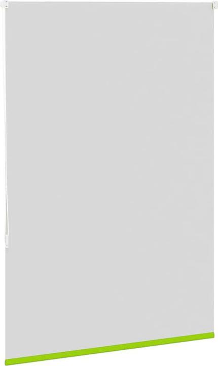 Actual product image vidaXL Verdunkelungsrollo (100 x 150 cm)