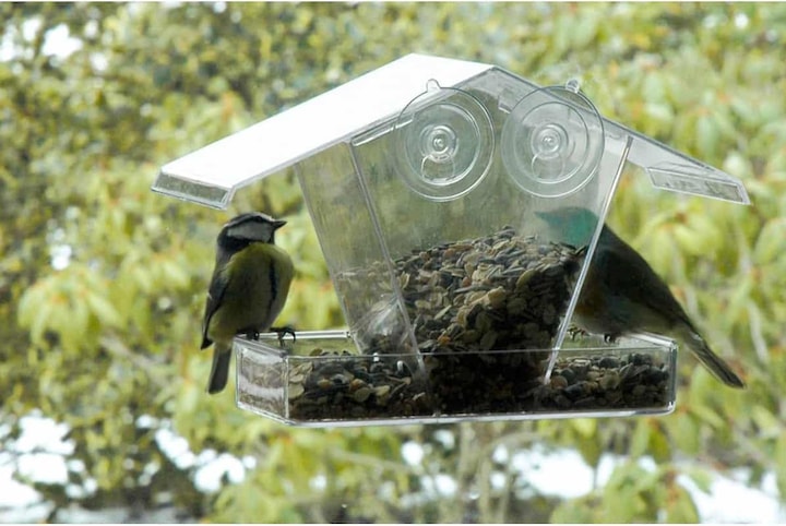 Actual product image Dobar Window